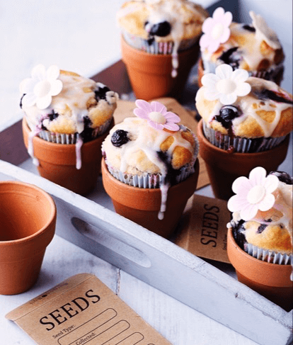 Flowerpot Blueberry Muffins