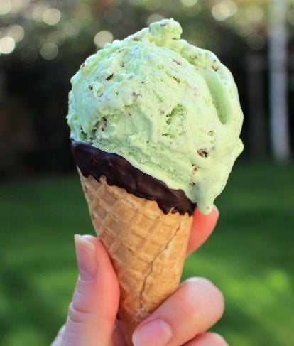 Mint Choc Chip Ice Cream