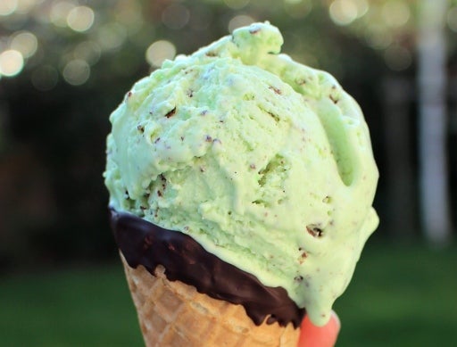 Mint Choc Chip Ice Cream