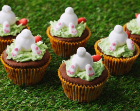 Disappearing Easter Bunny Cupcakes