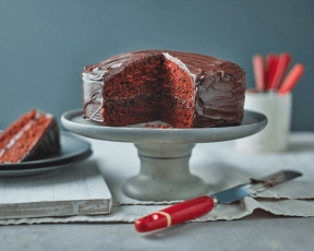 Quick Chocolate Fudge Cake