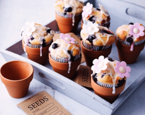 Flowerpot Blueberry Muffins