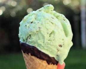 Mint Choc Chip Ice Cream
