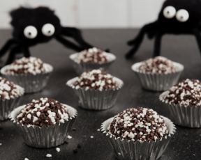 Spider Halloween Briga