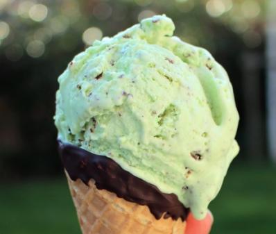 Mint Choc Chip Ice Cream